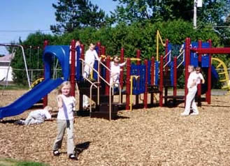 Playground mulch
